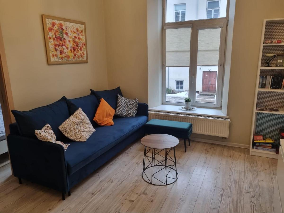 Igo Apartment Uzupis ヴィリニュス エクステリア 写真