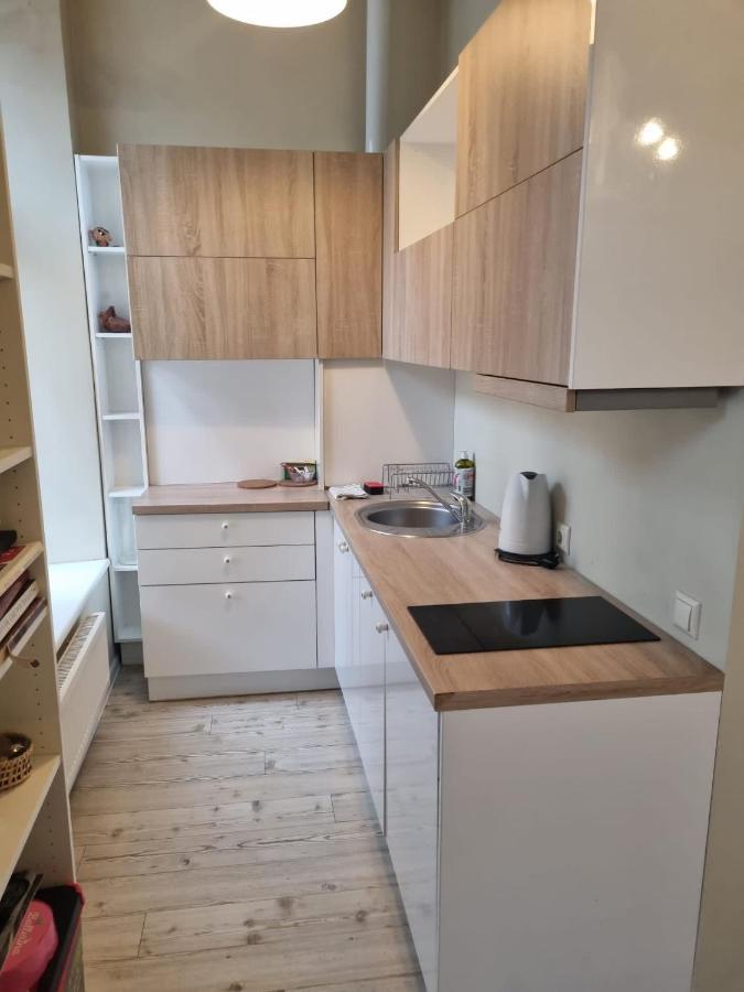Igo Apartment Uzupis ヴィリニュス エクステリア 写真
