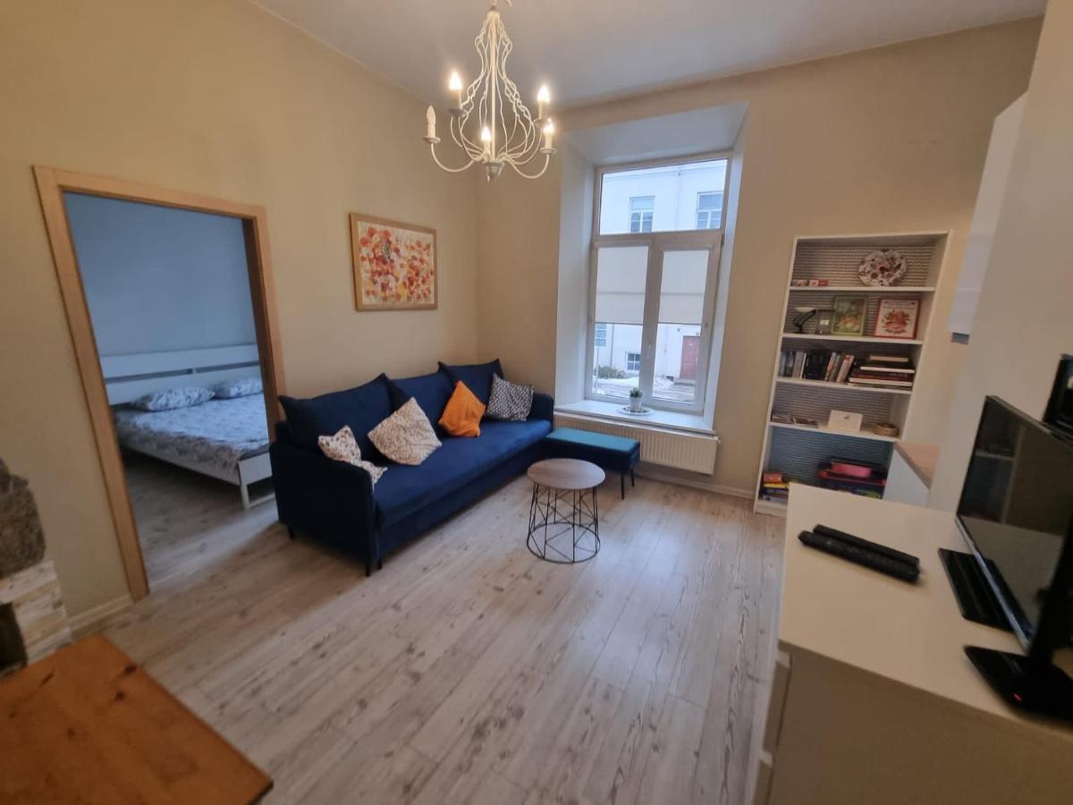 Igo Apartment Uzupis ヴィリニュス エクステリア 写真